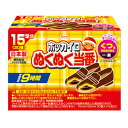 ホッカイロ ぬくぬく当番 貼らない くつ用 15足分(30個入)(4)