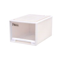 天馬 収納ボックス フィッツケース クローゼット 幅39×奥行53×高さ30cm 収納ケース たわみにくい 衣装ケース 日本製 【色 カプチーノ】 【サイズ L-53】