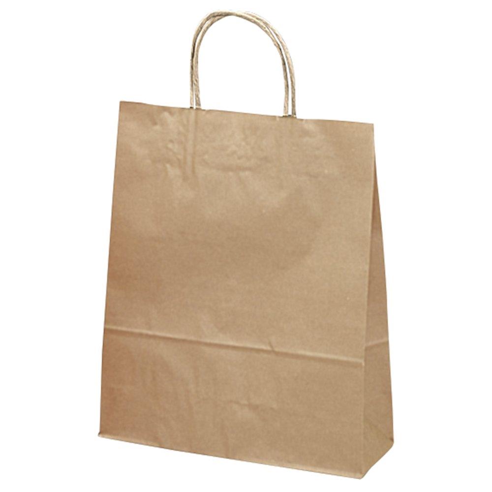 タカ印 ギフトバッグ 50-6101 手提げ 未晒無地 小 10枚