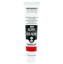ターナー色彩(Turner Color) アクリルガッシュ チャイニーズレッド AG020028 20ml(6号)(3)