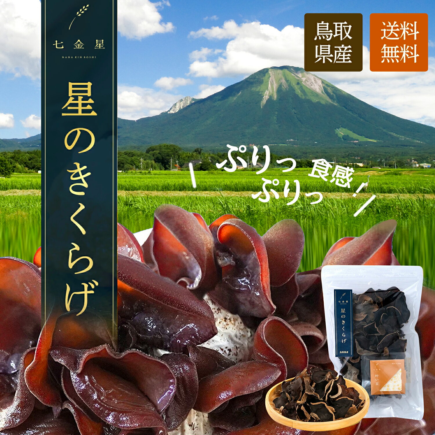 ビタミンDが豊富【金箔付】国産 鳥取県 乾燥きくらげ 乾燥 40g 肉厚 ぷりぷり コリコリ 農薬不使用 七金星 星のきくらげ 国産きくらげ ..