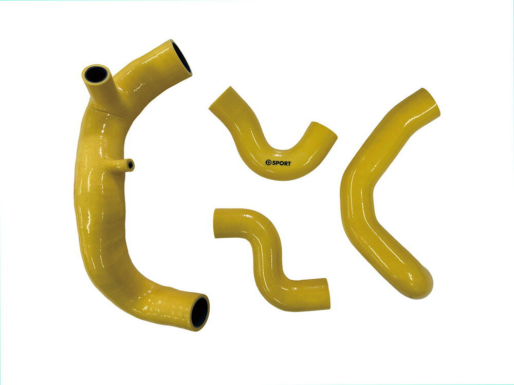 D-SPORT(ディースポーツ) スーパーインテークホースキット 品番:17113-E241