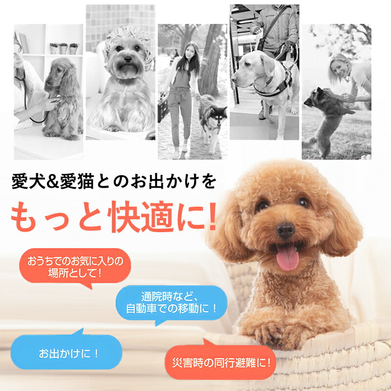 ペットキャリー バッグ 2way 猫 犬 ペットキャリーバッグ 斜めがけ ショルダー 通気性 軽量 ペットボストン ペットバッグ ペットキャリー ペットキャリーケース 犬猫兼用 小型 中型犬 収納 病院 ドライブ 避難 旅行 病院 通院 散歩 お出かけ用 2