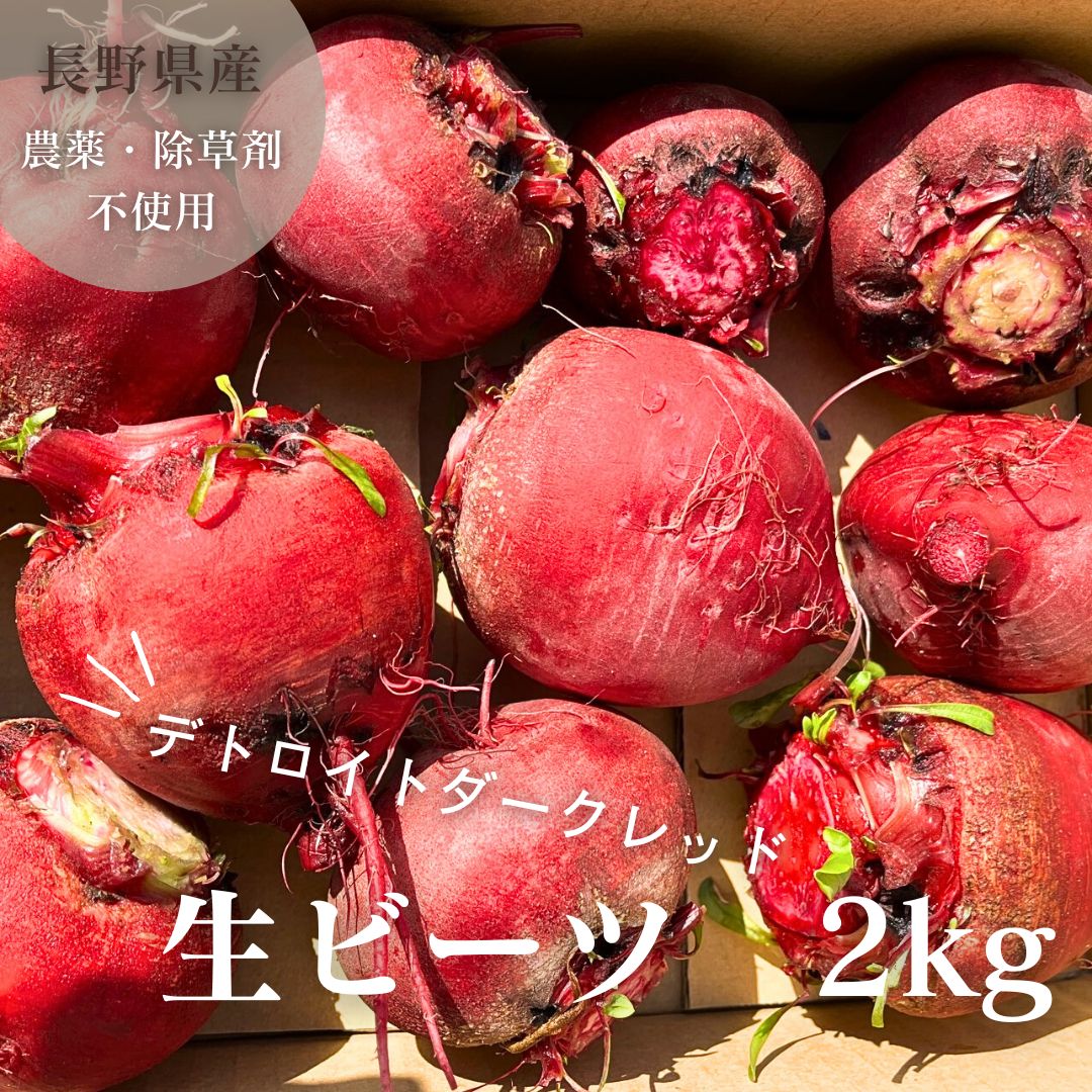 ビーツ 国産 七久里農園 無農薬 2kg 生ビーツ 長野県産 産地直送 農家 スーパーフード ビートルート beet beets beetroot 西洋野菜 デトロイト・ダークレッドビーツ 美肌 美容 beaty 健康 healthy 葉酸 オリゴ糖 食物繊維 ボルシチ ロシア料理 ピクルス スムージー