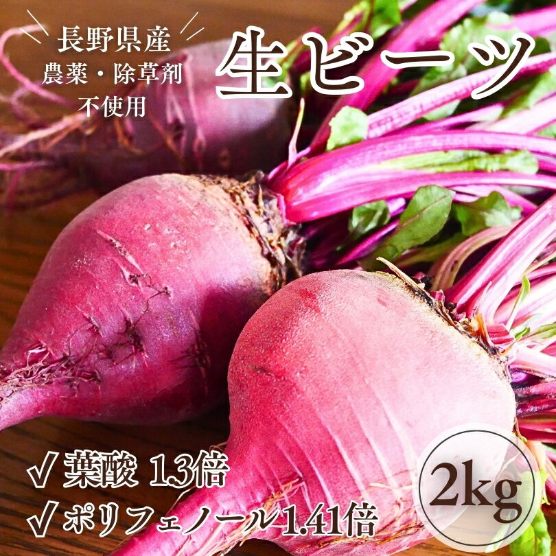 ビーツ 国産 七久里農園 無農薬 2kg 生ビーツ 長野県産 産地直送 農家 スーパーフード ビートルート be..