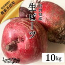 ビーツ 国産 訳あり 七久里農園 栽培期間中 農薬不使用 10kg 生ビーツ 長野県産 産地直送 スーパーフード ビートルート beet beetroot 西洋野菜 デトロイト・ダークレッドビーツ 葉酸 カリウム ポリフェノール 美容 beaty 健康 オリゴ糖 ボルシチ