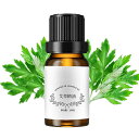 よもぎエッセンシャルオイル ヨモギ 精油 無農薬天然よもぎ100% 蓬 ヨモギ精油 肌 赤み 鎮静 美容 化粧水 美容液 乳液 マッサージオイル (50ml)