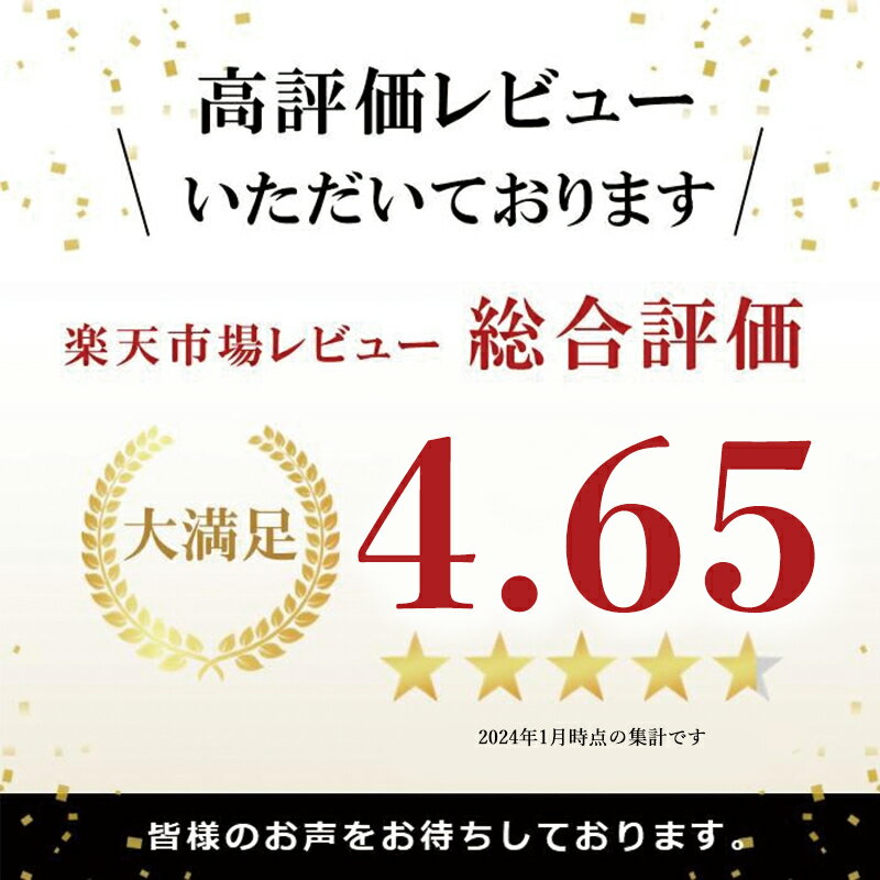 【即納】ブルーエア 空気清浄機 Classic 690i 680i 605 650E 交換用 ダストフィルター 対応 交換用フィルター ホコリ ハウスダスト ニオイ PM2.5 [互換品/1点お試し] 2