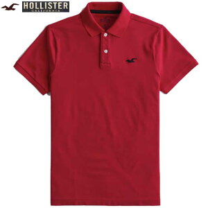 ۥꥹ ݥ  S Ⱦµݥ polo  ѡեȥåȥ ȥå ԥ ɽ ȥåץ ꥸʥեå 󥺥եå ᥫ å ᡼ ̵ HOLLISTER ۥꥹ 