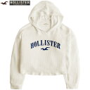 【メール便対応商品】【Hollister Women USA】 オーバーサイズクロップフーディー Hollister Co.ホリスターレディース コージー リップド ロゴグラフィックTシャツ フーディー カラー ライトベージュ サイズ (平置) 【Lサイズ】身幅約63cm着丈約51cm肩幅約56cm袖丈約52cm裾幅約62cm 素 材 52%ビスコース44%ポリエステル4%エラスタン 生産国 ベトナム デザイン ＊ルーズコーデに最適なオーバーサイズのプルオーバー。 ＊スーパーソフトで伸縮性のあるビスコース素材です。 ＊合わせやすいクリーム系のライトベージュカラー。 ＊ロゴとシーガルは立体感のある太いネイビーステッチ。 ＊身幅の広い短めの着丈です。 ＊裾は緩やかなカーブで綺麗なドレープが出ます。 ＊肌寒い春や梅雨時のトップス、秋冬は重ね着コーデがオススメです。 ＊【Lサイズ】はML〜Lサイズくらいの方にオススメするサイズ展開です。 ＊お手入れはネットに入れて洗濯機で水洗いになります。(ドライクリーニング禁止) ＊平に干してアイロンは低温でおかけください。 備考 ＊こちらのホリスターは アバクロ アメリカンイーグルよりも大きいサイズ展開になります。 ＊商品は到着後すぐにお使いいただけるようにスチームでプレスしてから発送致します。 ＊こちらの商品は「日本郵便メール便」(クリックポスト)でのお届けとなります。 ＊商品は発送後ポスト投函になりますのでお届けの日時指定はお受け出来ません。 ＊クリックポストは投函まで伝票番号から追跡が可能ですので安心してご利用下さい。 ＊メール便の為お支払い方法は『クレジット決済』『銀行振込』『コンビニ前払い』『後払い決済』のみとなります。 ＊『後払い決済』につきましては楽天市場での審査後の発送となります。 ＊『メール便』はあす楽未対応です。