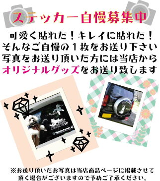 ドライブレコーダー マグネット【10cm】 後方 録画中 ドラレコ 録画中 トラブル防止 煽り 防止 後方 ドライブレコーダー シール 後ろ 煽り運転対策 カメラ 録画中 ドライブレコーダー 搭載車 送料無料 車載型画像記録装置 防水 ステッカー