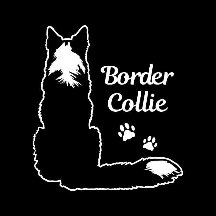 ボーダーコリー ステッカー 「ボーダーコリーD」 デザイン ドッグ ステッカー 黒い場所に貼る用【約W172×H190mm】ボーダーコリー 車 ステッカー ボーダーコリー 車 シール ボーダーコリー ステッカー 犬ステッカー 愛犬ステッカー 車 犬 ステッカー