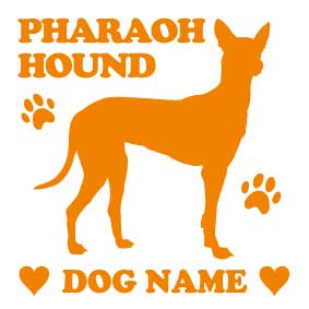 ファラオハウンド【スクエア型】オリジナルドッグステッカー ペット ステッカー DOGステッカー ドッグシルエット切り抜きシール 犬　ステッカー ネーム 入り 犬　犬ステッカー 犬 車 ステッカー 転写 ステッカー 愛犬 プレゼント