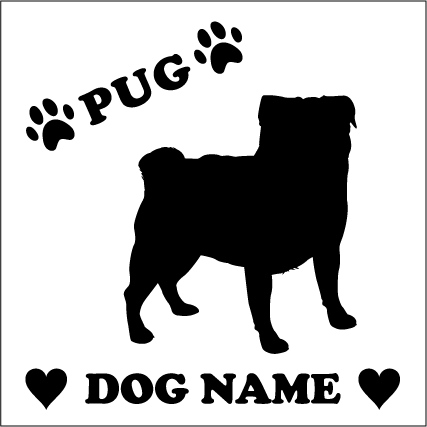 ѥڥۥꥸʥɥåƥå ڥå ƥå DOGƥå ɥå륨åڤȴ ƥå ͡ ...