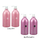 2{Zbg TN SALONLINK GNXg 1000ml~2