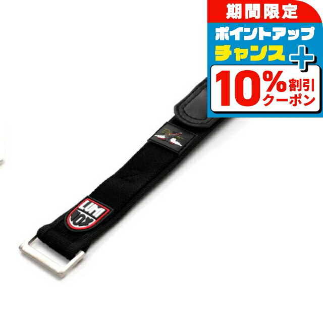 ＼10%OFFクーポン+さらに3倍★18日限定／ ルミノックス LUM...(2)