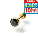 \10%割引クーポン★2日10時迄/ ライオンハート ピアス メンズ レディース ブランド LION HEART サージカルステンレス、キュービックジルコニア ...
