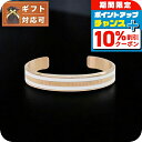 \10%割引クーポン&さらに+3倍★6/1限定/ ダニエルウェリントン DANIEL WELLINGTON バングル S メンズ レディース DW0040000...