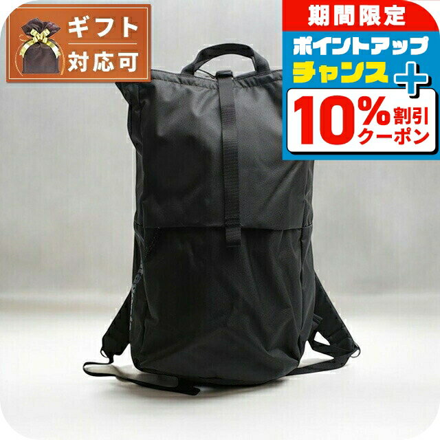 希少カラー パタゴニア キャリーエールバッグ スペシャル