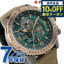 㥢Ĥ6֡5,980߳ݥ10%OFF  ץޥ ɥ饤 SKY꡼ ȥ顼 ...