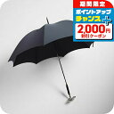 \2000円OFF+全品5倍★8/5限定/ フォックスアンブレラズ FOX UMBRELLAS 傘 メンズ GT29-DUCK ブラック ブランド