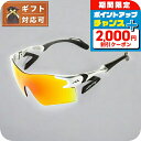 \2000円OFF+全品7倍★8/7限定/ エアフライ AirFly サングラス AF301-C-32WV ユニセックス メンズ レディース シルバー 敬老の日...