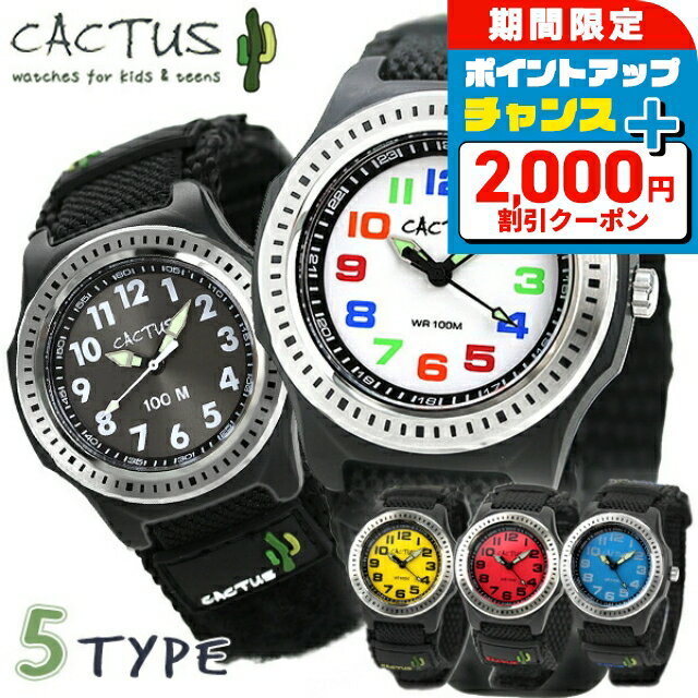 2000OFF+9ܡ ӻ å å  Ҷ ˤλ λ ɿ CACTUS CAC-45 ޥåơ׼ ʥ٥...