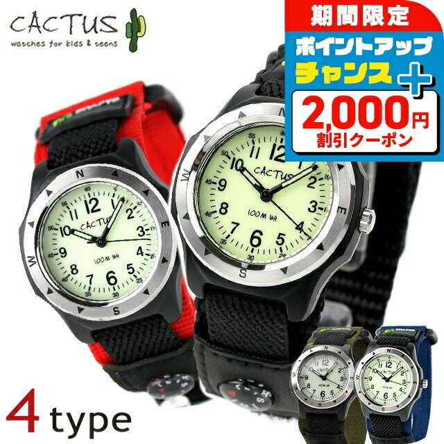 2000OFF+9ܡ ӻ å  Ҷ CACTUS CAC-65 ٤ǥ  ץ쥼 ե