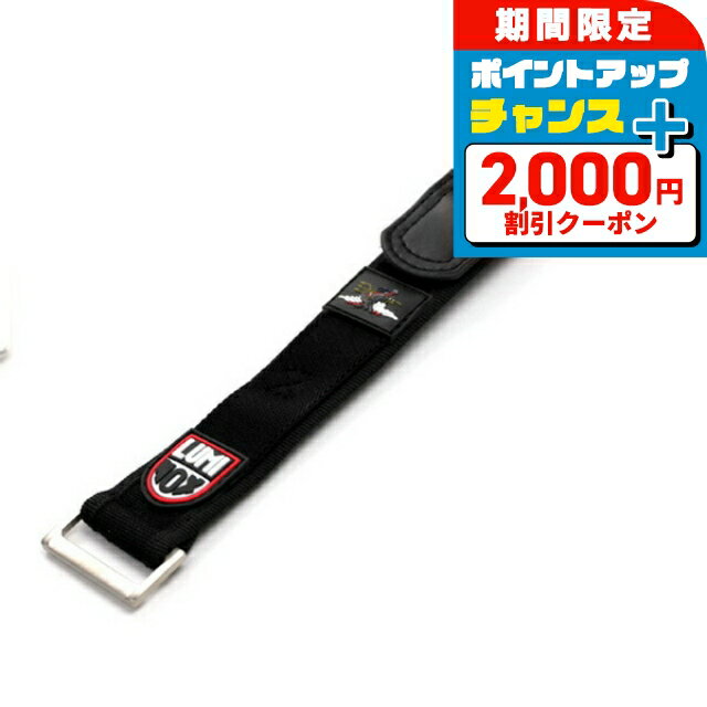＼2000円OFF+さらに9倍／ ルミノックス LUMINOX 純正 ...(2)