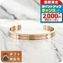 \2000円割引クーポン&全品5倍で最大49倍★5/25限定/ ダニエルウェリントン DANIEL WELLINGTON バングル レディース DW004001...