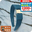 \2000円割引クーポン&さらに+9倍/ フェラガモ FERRAGAMO カチューシャ 344311-759768 レディース Mediterraneo Blu...