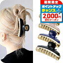\2000円割引クーポン★さらに+9倍/ アレクサンドル ドゥ パリ ヘアクリップ レディース ブランド ALEXANDRE DE PARIS ヴァンドームLクリップ ヘアアクセサリー 選べるモデル