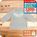 \2000円割引クーポン&さらに+9倍/ ワイルドシングス WILD THINGS ショルダーバッグ WT-380-3008-OLIVE メンズ OLIVE ブ...