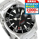 \2000円OFFクーポン&さらに+9倍/ ダボサ アルゴノーティック BG 自動巻き 腕時計 メンズ DAVOSA 161.528.20 アナログ ブラック ...