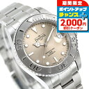 \2000円OFFクーポン&さらに+9倍/ ダボサ テルノス ミディアム カリフォルニア 自動巻き 腕時計 メンズ レディース 替えベルト DAVOSA 166...