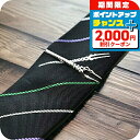 \2000円割引クーポン&全品5倍★当店限定/ SWANK×EVANGELION スワンク ネクタイピン エヴァ コラボ ブランド ヱヴァンゲリヲン タイバー×ネクタイセット ロンギヌスの槍 タイピン EVA-2021-TIE02 メンズ シルバー アクセサリー 誕生日 ギフト プレゼント 実用的