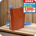 \2000円OFFクーポン&さらに+9倍/ マルニ 斜め掛けショルダーバッグ メンズ MARNI レザー イタリア SBMQ0040Q0 ブラウン系 ブルー系 ...