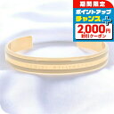 \2000円OFF+全品5倍★7/10限定/ ダニエルウェリントン DANIEL WELLINGTON バングル ブレスレット レディース DW00400011...