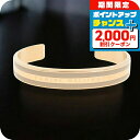 \2000円OFF+全品5倍★7/10限定/ ダニエルウェリントン DANIEL WELLINGTON バングル ブレスレット レディース DW00400012...