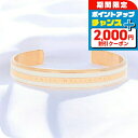 \2000円OFF+全品5倍★7/10限定/ ダニエルウェリントン DANIEL WELLINGTON バングル ブレスレット レディース DW00400069...
