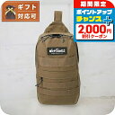 \2000円OFFクーポン&さらに+9倍/ ワイルドシングス WILD THINGS ボディバッグ WT-380-3009-BEIGE メンズ BEIGE