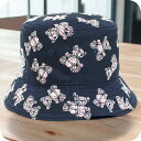 \10%割引クーポン★2日10時迄/ バーバリー ハット ベビー BURBERRY イタリア 8055990 NAVY ネイビー系 マルチカラー 小物 選べるモ...