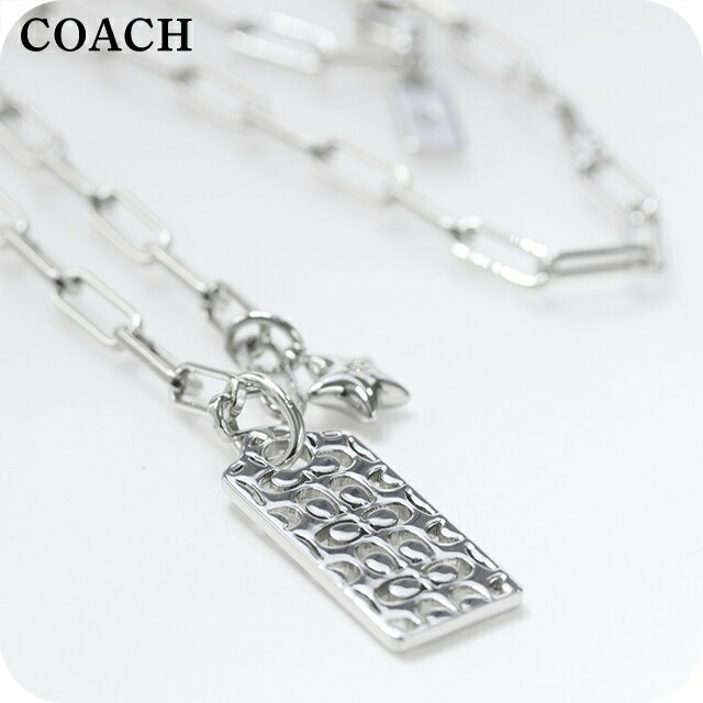  ͥå쥹 ǥ ֥ COACH ڥ 541348RHO030 С ꡼