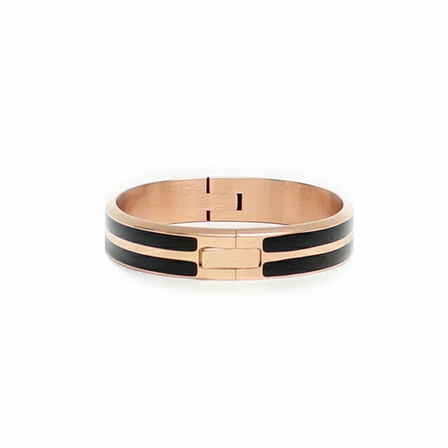 ���˥��륦�����ȥ� DANIEL WELLINGTON EMALIE INFINITE �Х󥰥� DW00400250 ��ǥ����� �������������