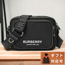 ショルダーバッグ 【あす楽対応】 バーバリー BURBERRY 8049094 A1189 ロゴプリント パディバッグ ショルダーバッグ ブラック メンズ ユニセックス ML PADDY PN9