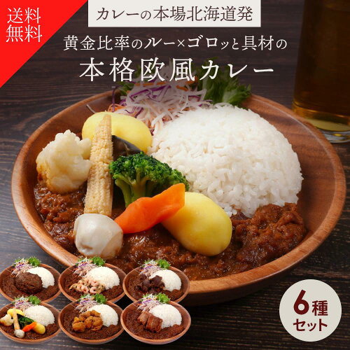 黄金比のルー＆ごろっと具材！6種の ビーフカレー 6食入り カレー 冷...