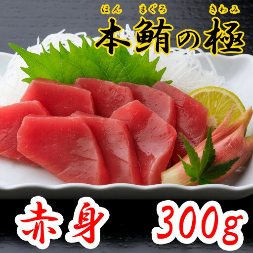 本鮪の極 赤身 300g 高知 土佐 大月町 冷凍 養殖 本マグロ 黒マグロ ギフト プレゼント 化粧箱 自宅用 お中元 お歳暮 母の日 父の日 丼ぶり おつまみ 刺身 寿司 本鮪の極 赤身 300g 高知 土佐 大月町 冷凍 養殖 本マグロ 黒マグロ ギフト プレゼント 化粧箱 自宅用 お中元 お歳暮 母の日 父の日 丼ぶり おつまみ 刺身 寿司