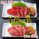 本鮪の極(赤身 中トロ 各170gセット)高知 土佐 大月町 冷凍 養殖 本マグロ 黒マグロ ギフト プレゼント 化粧箱 自宅用 お中元 お歳暮 母の日 父の日...