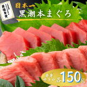 最優秀賞受賞 黒潮本まぐろ 赤身・中トロ 各150g セット 高知 土佐 大月町 冷凍 養殖 本鮪 黒鮪 マグロ 丼 刺身 寿司 ギフト プレゼント 化粧箱 自...