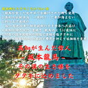 【楽天1位獲得】龍馬鰹たたき 3,000g（3kg）大容量 化粧箱無し 割引 訳あり お得 送料無料 藁焼き 塩たたき かつおのたたき かつおたたき かつお カツオ タタキ わら焼き 高知 瞬間冷凍 ギフト 自宅用 お中元 御中元 お歳暮 御歳暮 母の日 父の日 3